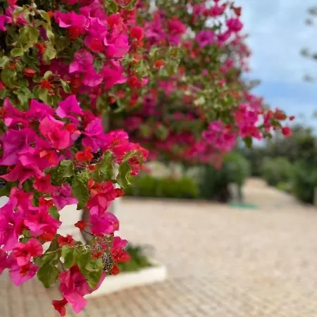 Nyaraló Quinta Vale Caranguejo - Casa Buganvilia Tavira
